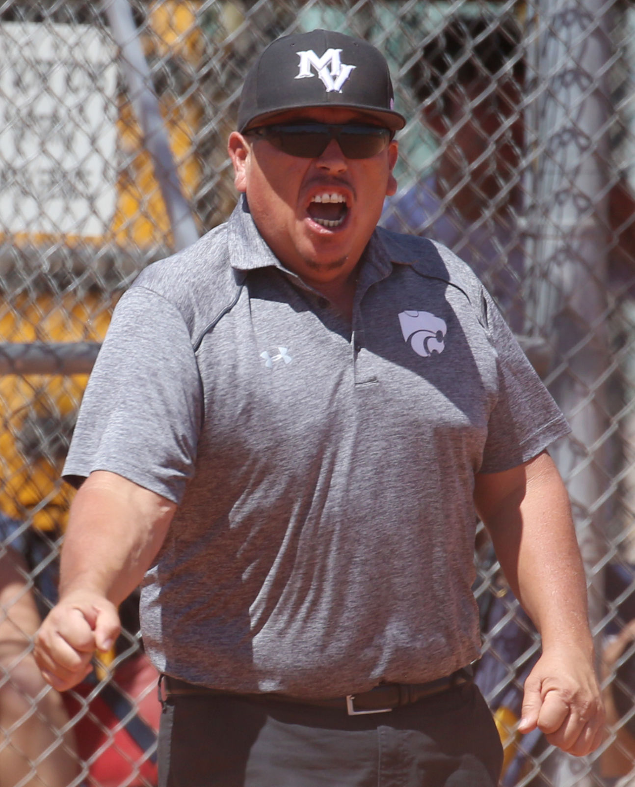 No. 7 Mountain View 3, No. 3 Ironwood Ridge 7, state softball playoffs